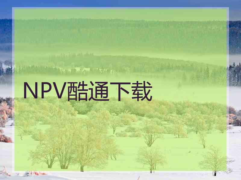 NPV酷通下载