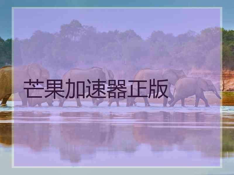芒果加速器正版