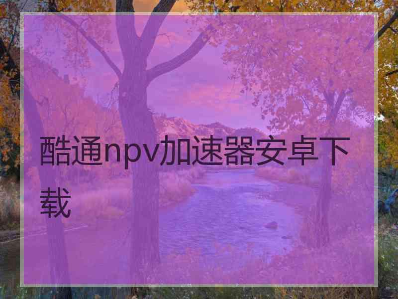 酷通npv加速器安卓下载