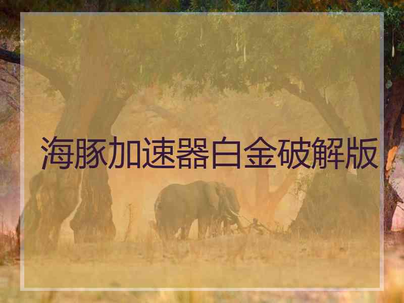 海豚加速器白金破解版