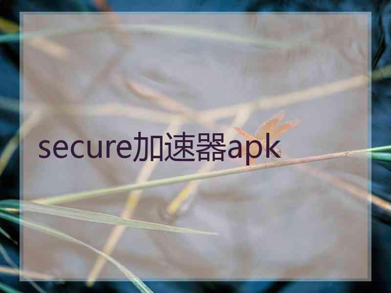 secure加速器apk