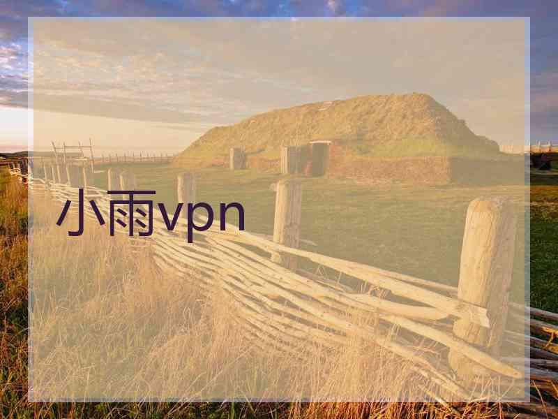 小雨vpn