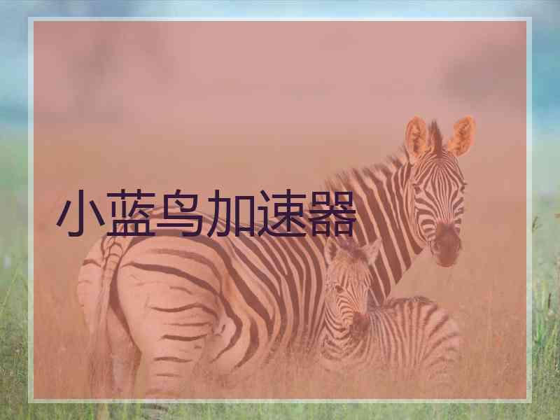 小蓝鸟加速器