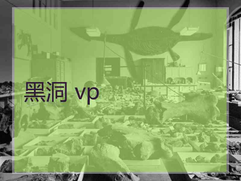 黑洞 vp