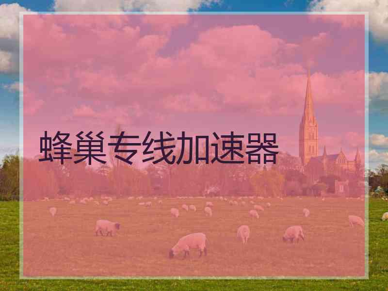 蜂巢专线加速器