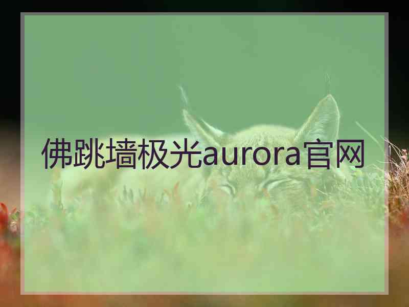 佛跳墙极光aurora官网