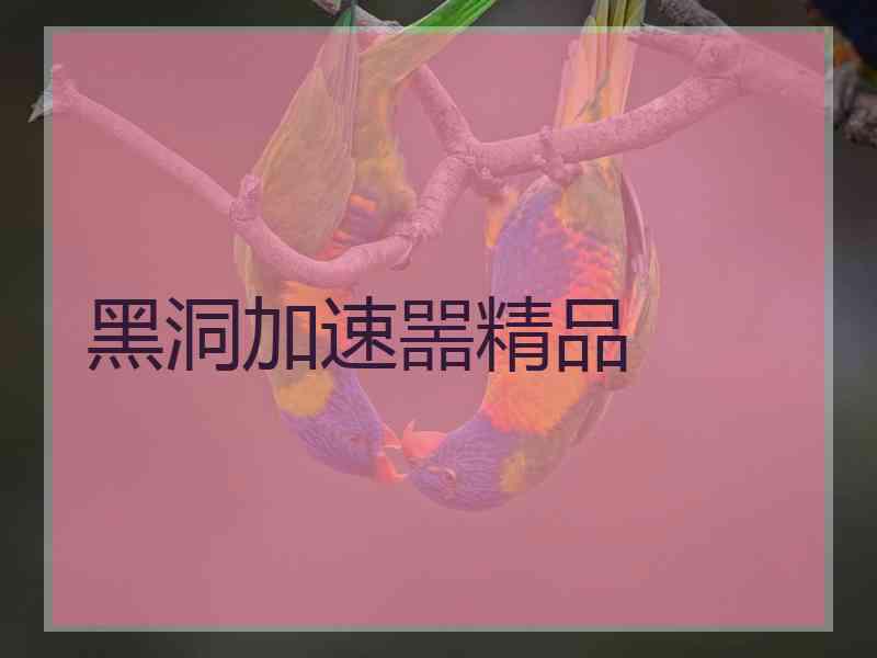黑洞加速噐精品