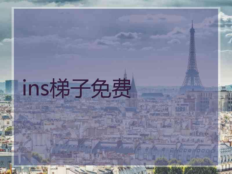 ins梯子免费