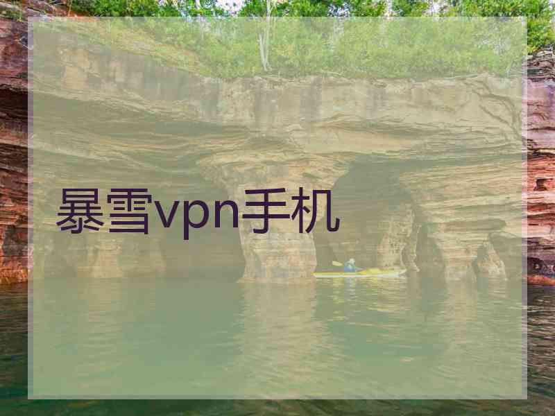 暴雪vpn手机