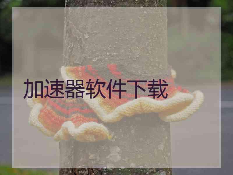 加速器软件下载