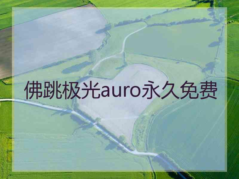 佛跳极光auro永久免费