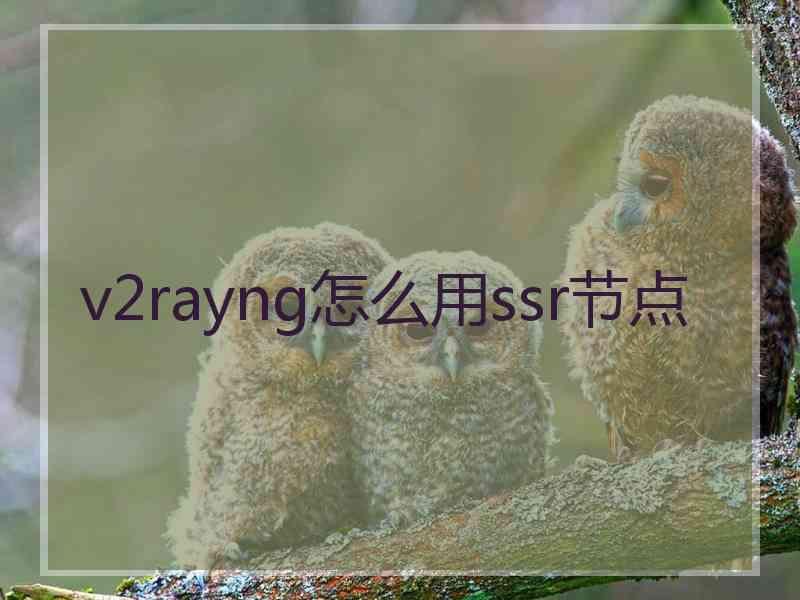 v2rayng怎么用ssr节点