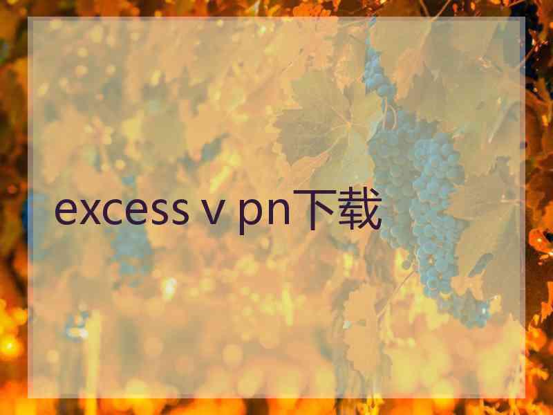 excessⅴpn下载