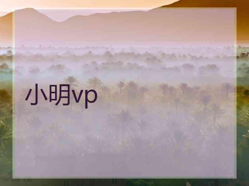 小明vp