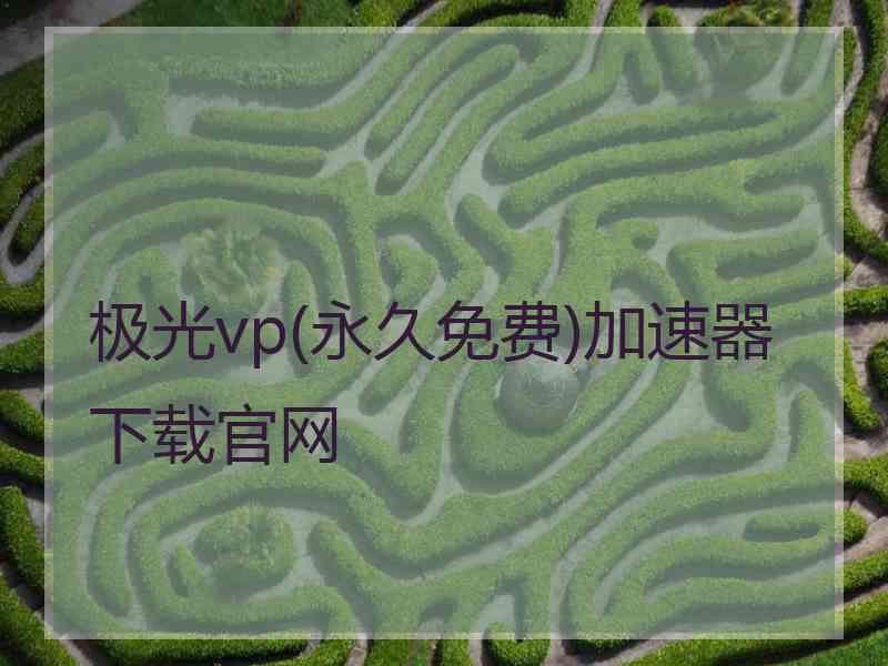 极光vp(永久免费)加速器下载官网