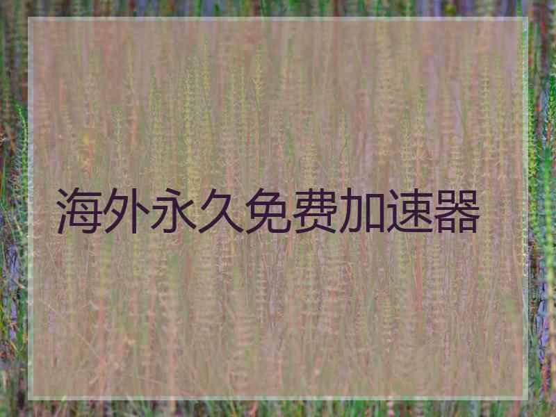 海外永久免费加速器