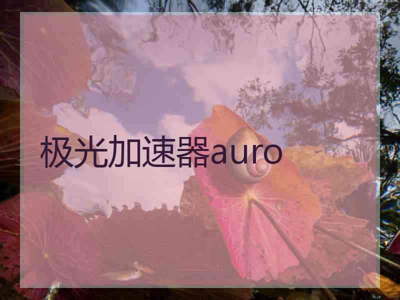 极光加速器auro
