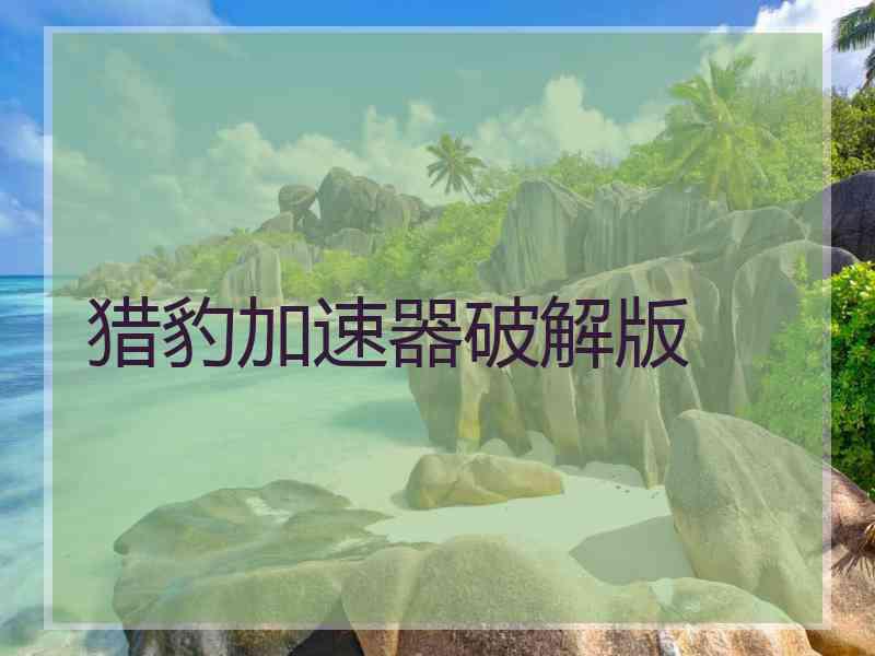 猎豹加速器破解版