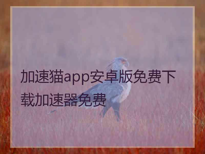 加速猫app安卓版免费下载加速器免费
