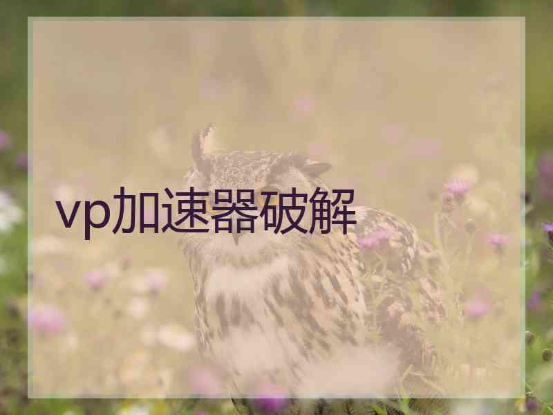 vp加速器破解