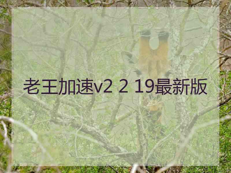 老王加速v2 2 19最新版