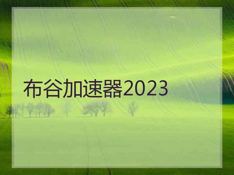 布谷加速器2023