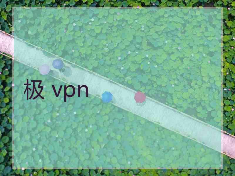 极 vpn