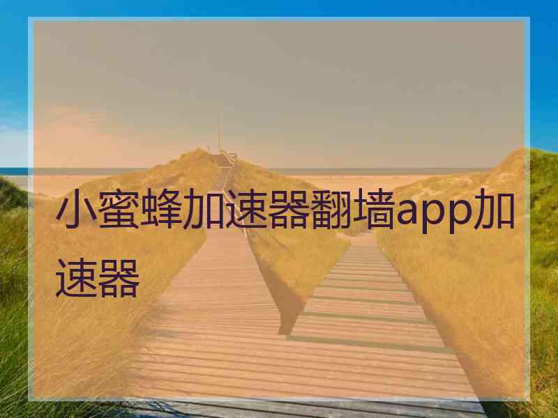 小蜜蜂加速器翻墙app加速器