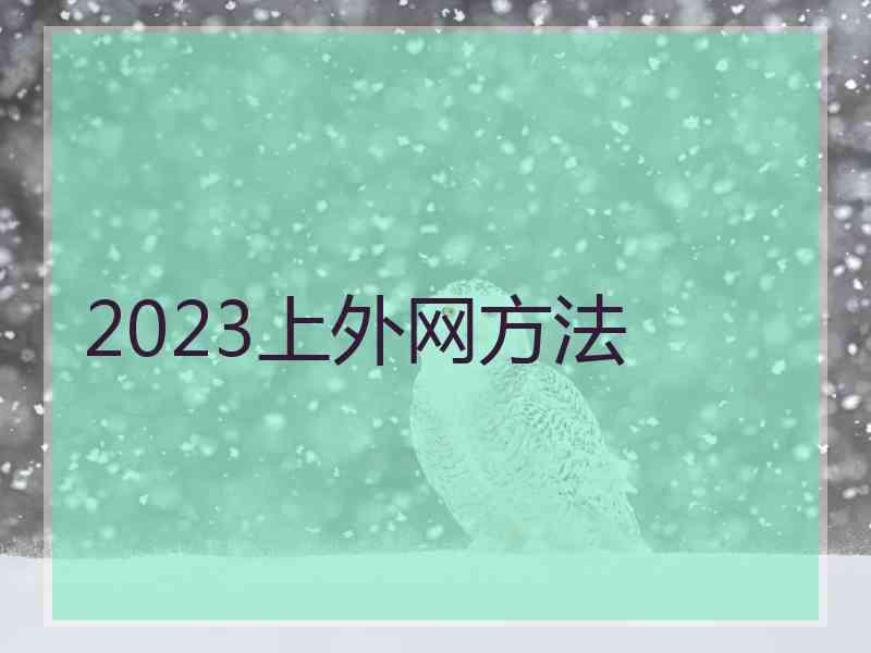 2023上外网方法