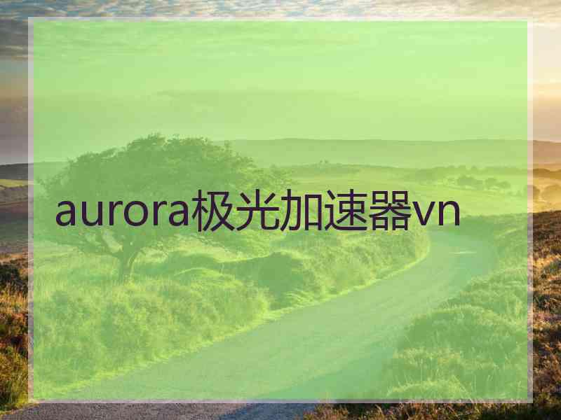 aurora极光加速器vn