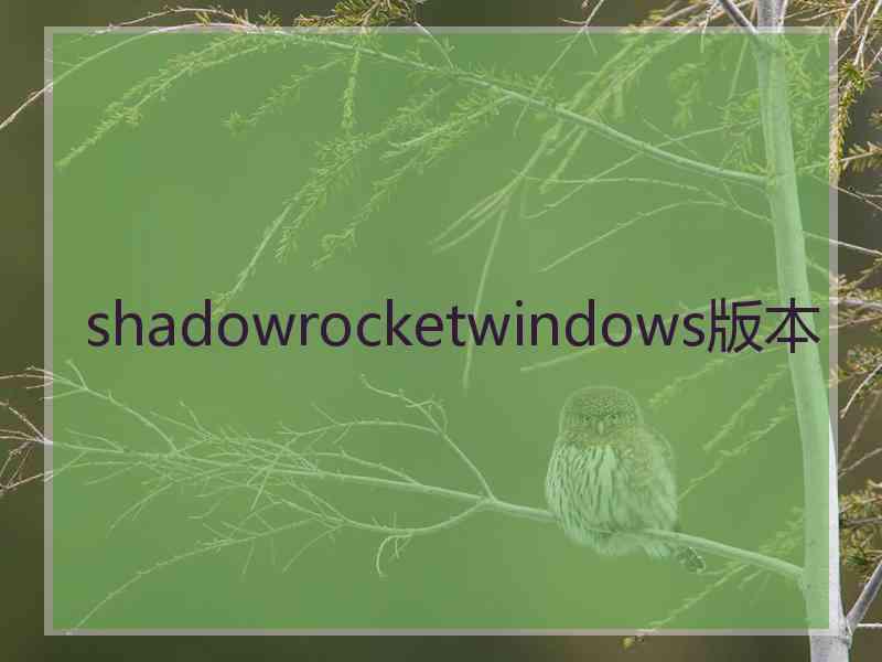 shadowrocketwindows版本