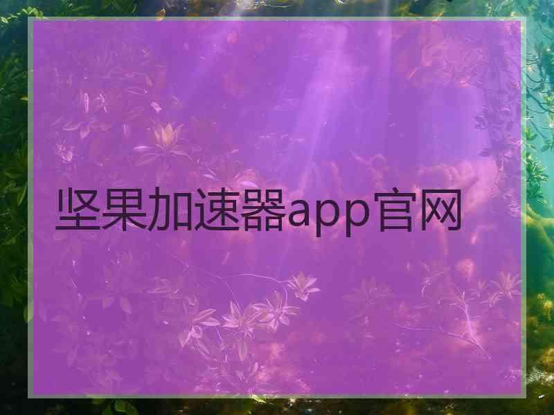 坚果加速器app官网