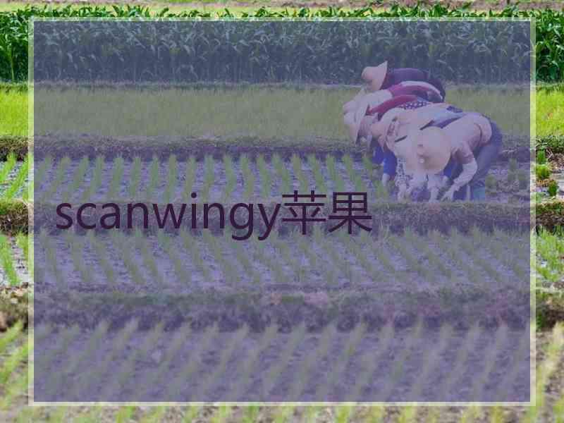 scanwingy苹果