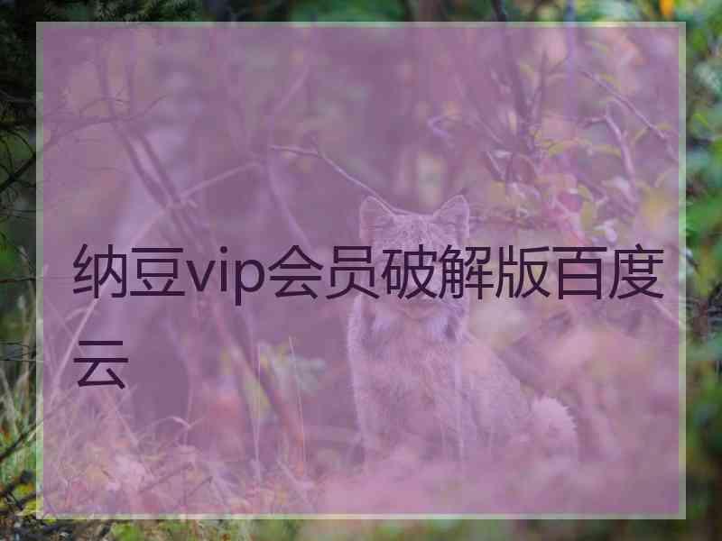 纳豆vip会员破解版百度云