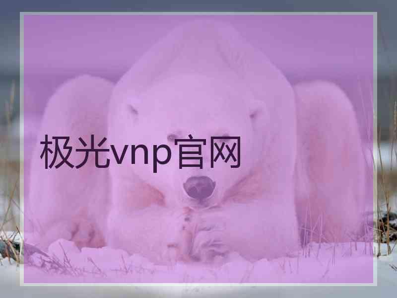 极光vnp官网