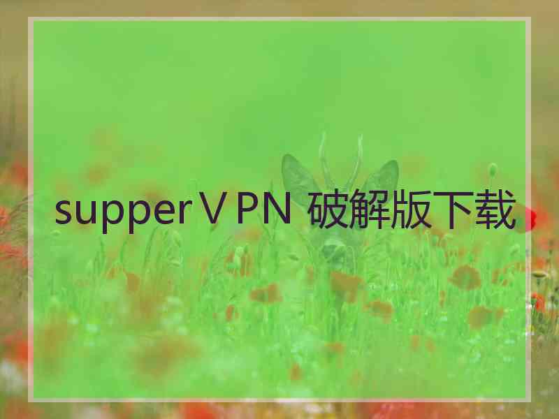 supperⅤPN 破解版下载