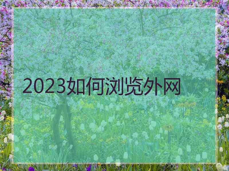 2023如何浏览外网