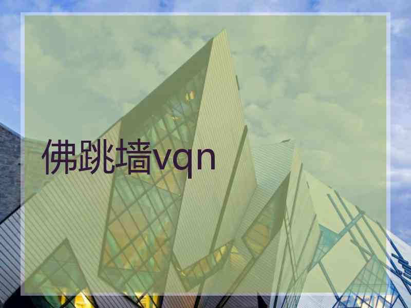佛跳墙vqn
