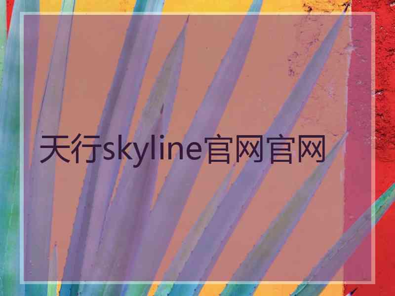 天行skyline官网官网