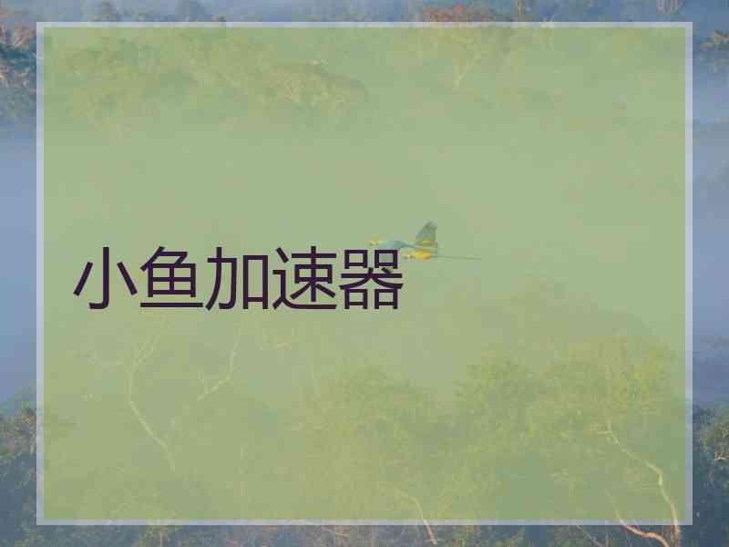 小鱼加速器