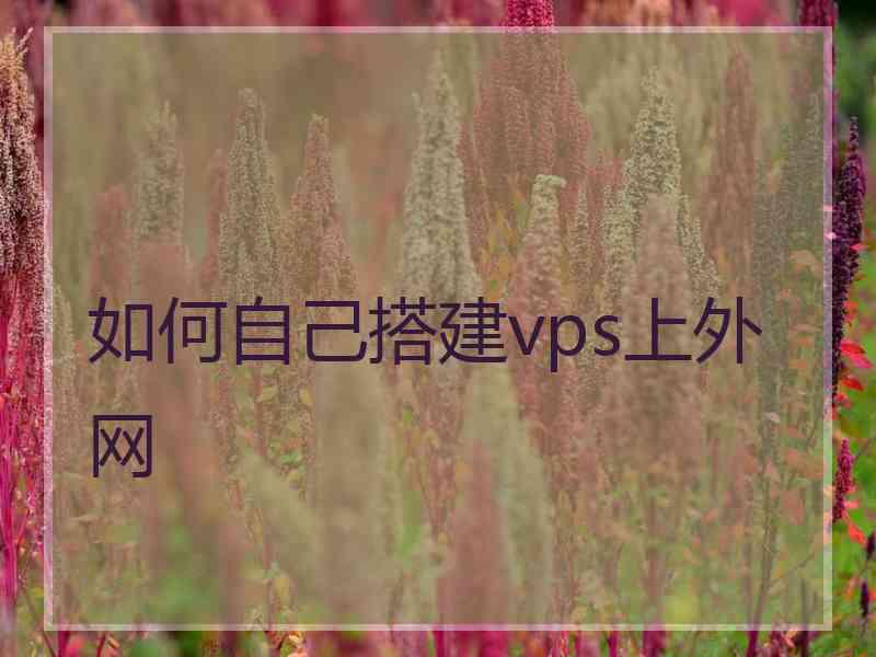 如何自己搭建vps上外网