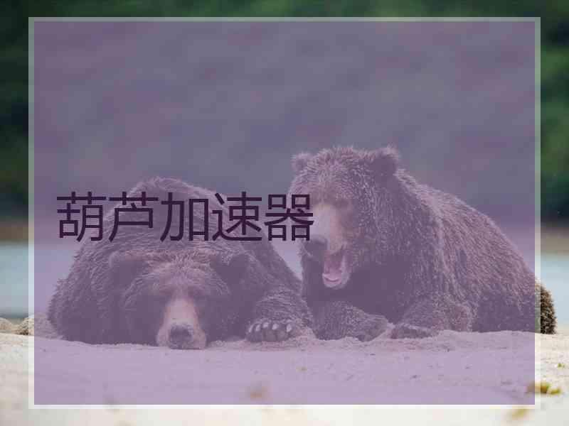 葫芦加速器