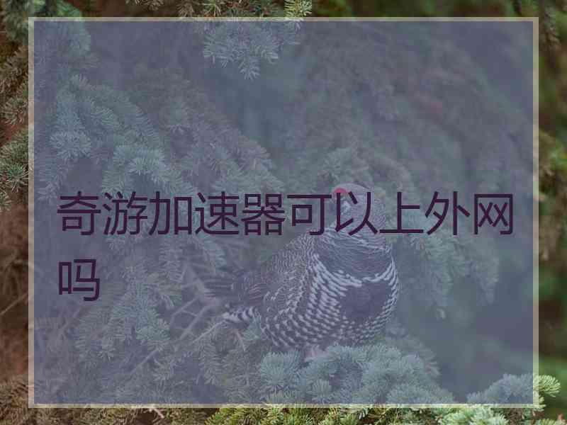 奇游加速器可以上外网吗