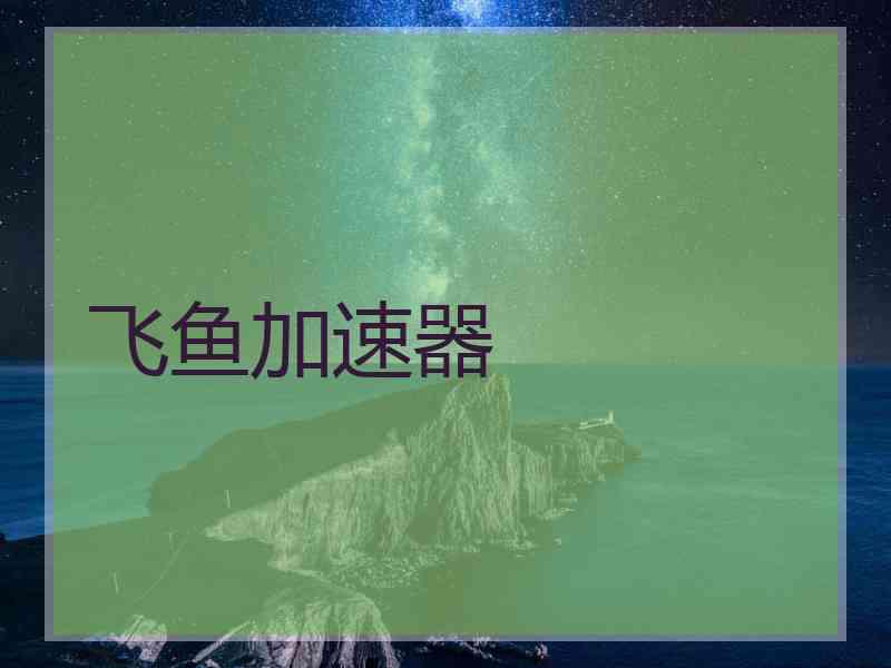 飞鱼加速器