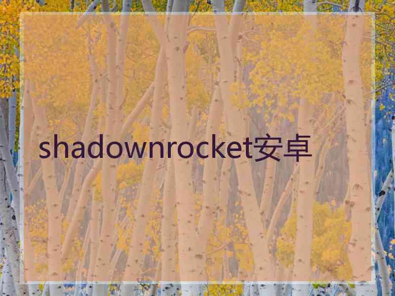 shadownrocket安卓