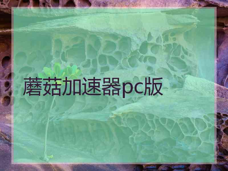 蘑菇加速器pc版