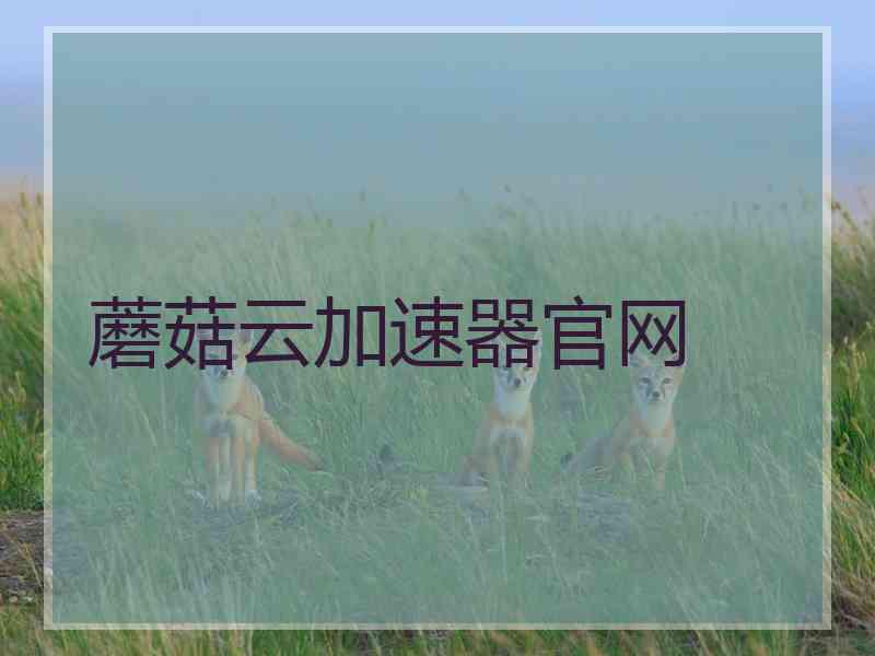 蘑菇云加速器官网