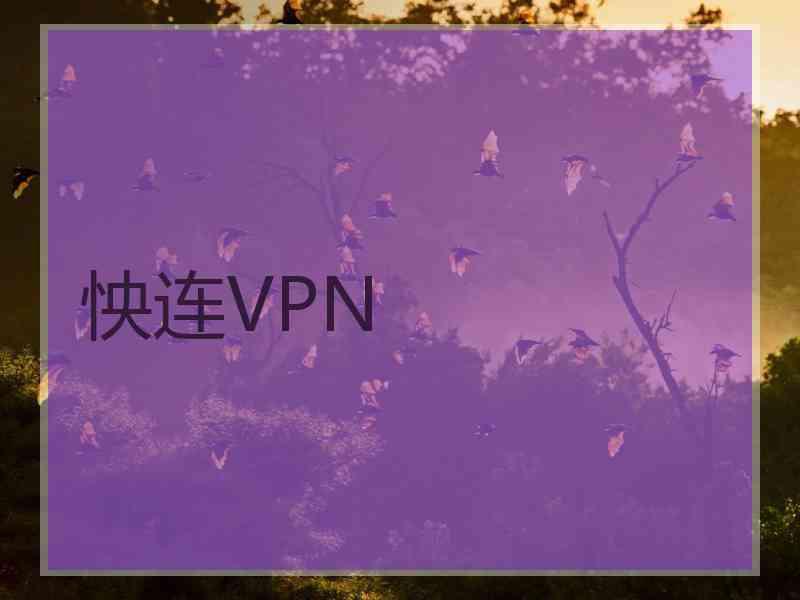 怏连VPN