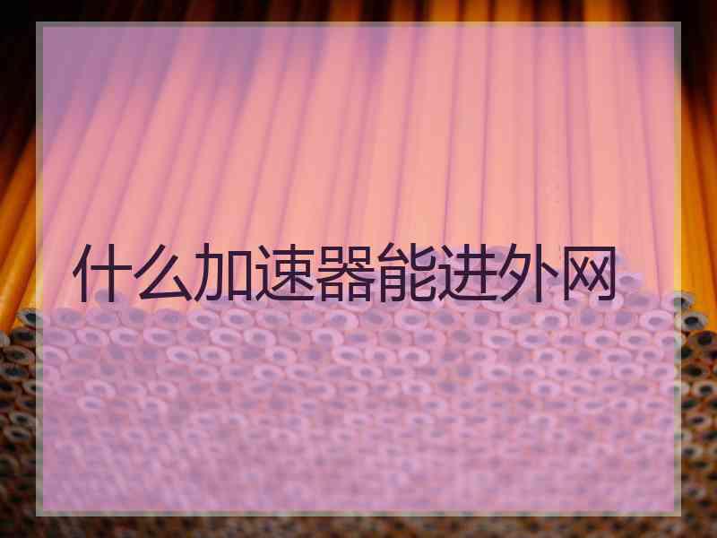 什么加速器能进外网