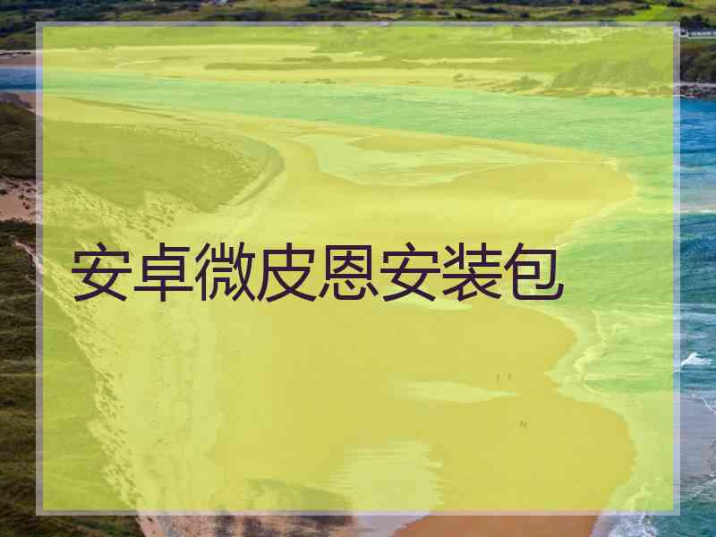 安卓微皮恩安装包